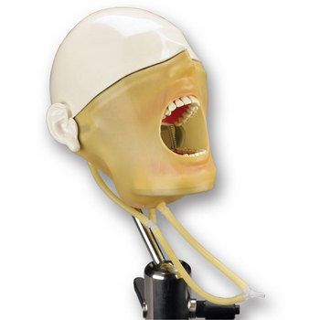 Dental care training manikin / head MQDMS Columbia Dentoform®