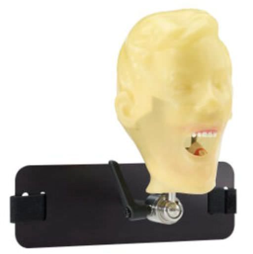 Dental care training manikin / head M-1R-DA-7 Columbia Dentoform®