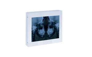 White light X-ray film viewer / 1-section / dental CEFALOM 01 AMRAY Medical