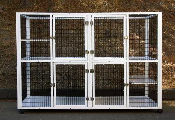 4-unit veterinary cage / 2-shelf S550 CD&E Enterprises