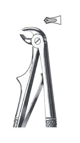 English pattern dental extraction forceps / pediatric 02-433-6S ALLSEAS