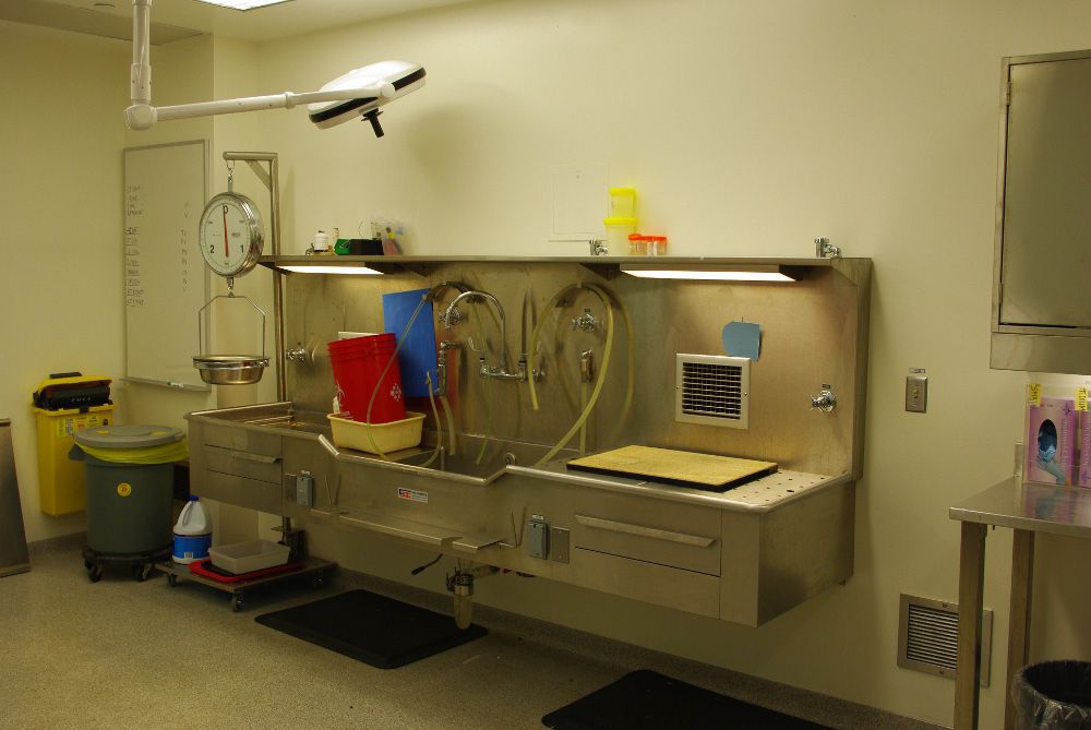 Autopsy sink / wall-mount / 2-station SR1910-30 CSI-Jewett