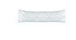 Colorectal stent BONASTENT® EndoChoice