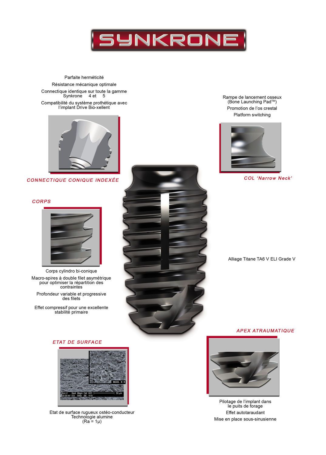 Cylindrical bi-conical dental implant / post-extraction Synkrone Drive Dental Implants