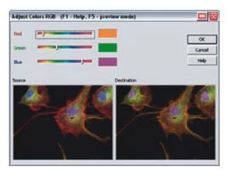 Analysis software / viewing / for archiving / medical NIS-Elements Br Nikon Instruments Europe BV