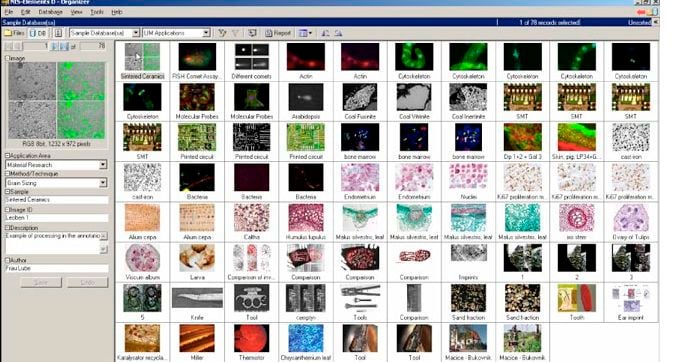 Analysis software / viewing / for archiving / medical NIS-Elements D Nikon Instruments Europe BV