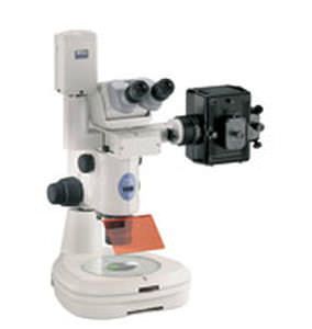Laboratory stereo microscope / fluorescence / binocular / zoom SMZ1500 Nikon Instruments Europe BV