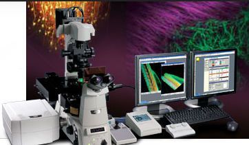 Laboratory microscope / multiphoton laser scanning / confocal A1R MP+ Nikon Instruments Europe BV