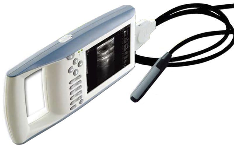 Hand-held veterinary ultrasound system UX5100V Digicare Animal Health