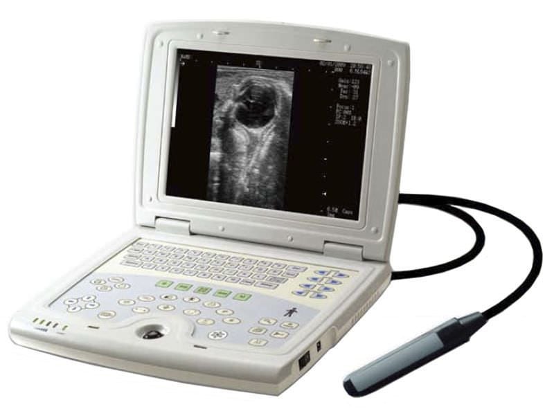Portable veterinary ultrasound system UX5000V Digicare Animal Health