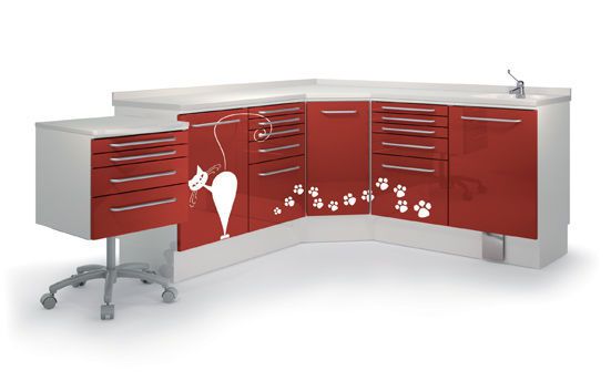 Veterinary clinic worktop / with sink / with drawer COMP03 Lory Progetti Veterinari