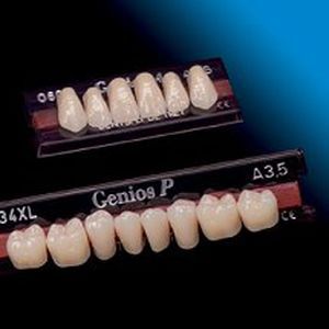 Acrylic resin dental prosthesis Genios® DENTSPLY DeguDent