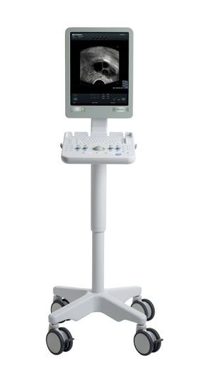 Ultrasound system / on platform, compact / for urology ultrasound imaging FLEX FOCUS 200 BK Medical Europe