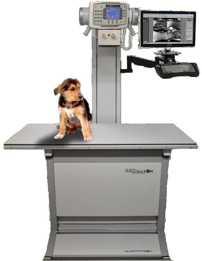 Veterinary X-ray radiology system DR 3500 Diagnostic Imaging Systems