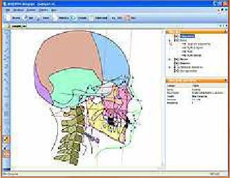 Analysis software / orthodontic / for dental imaging ORISCEPH® RX3 Elite Computer Italia