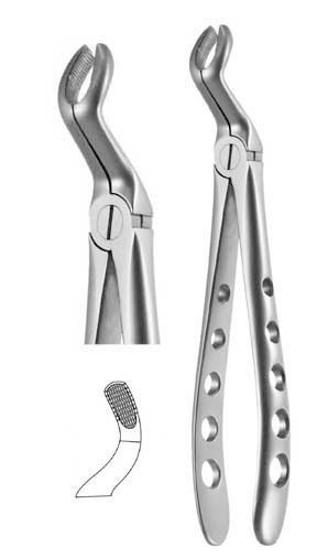 American dental extraction forceps 6701 A. Titan Instruments