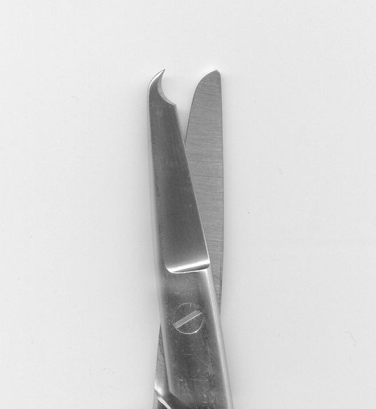 Surgical scissors / dental / straight 899 A. Titan Instruments
