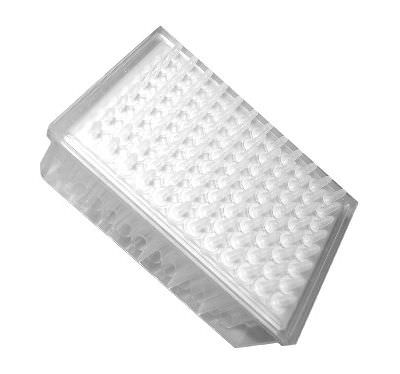 Filter microplate 1000 µL AHN Biotechnologie
