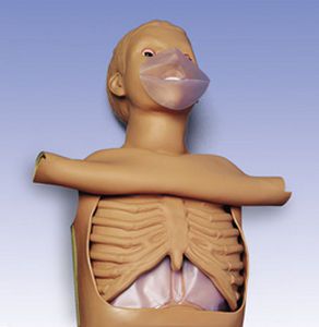 CPR training manikin / torso W45117 3B Scientific