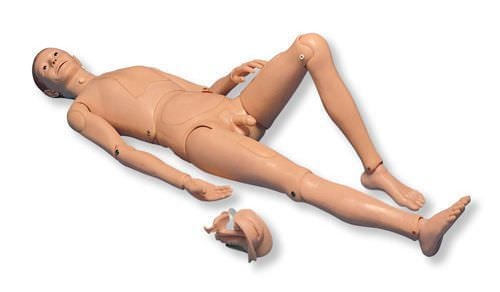 Nurse care training manikin 3B Scientific® II 3B Scientific