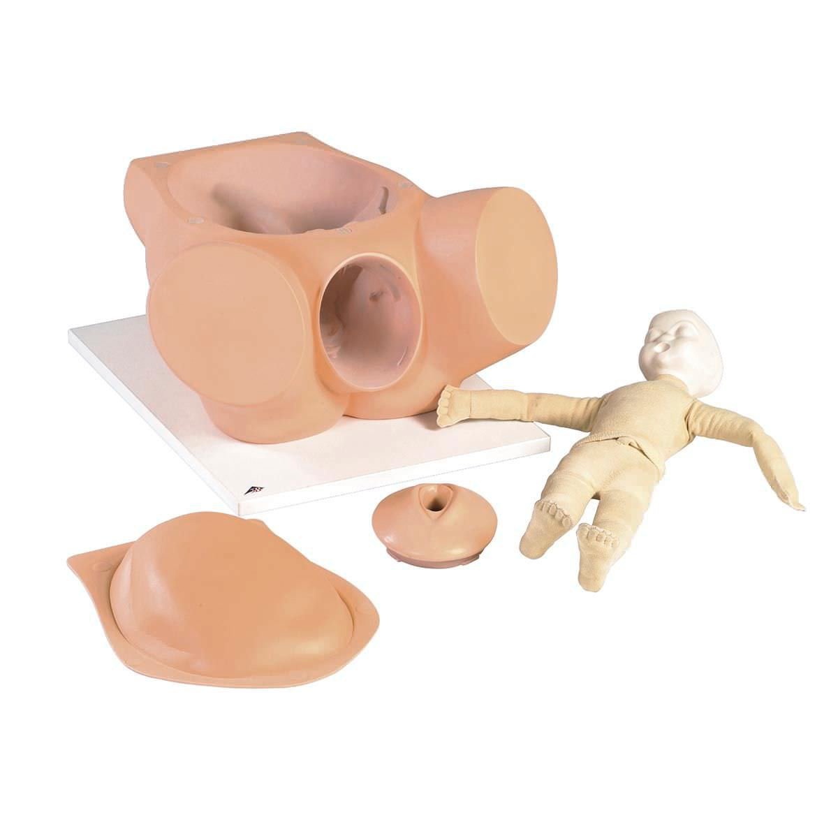 Delivery patient simulator / pelvis VG395 3B Scientific