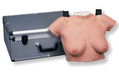 Breast massage anatomical model L50 3B Scientific