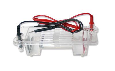 Horizontal electrophoresis chamber Nahita Auxilab S.L.