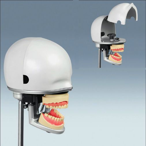 Dental care training manikin / head PK-2 | PK-2 HGB frasaco
