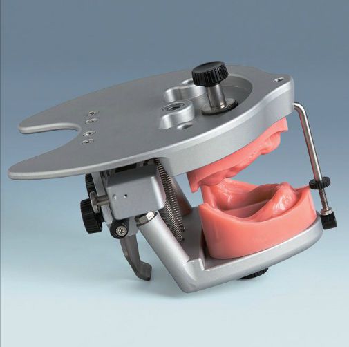 Dental care training manikin P-6/3 EINSATZ PRO frasaco