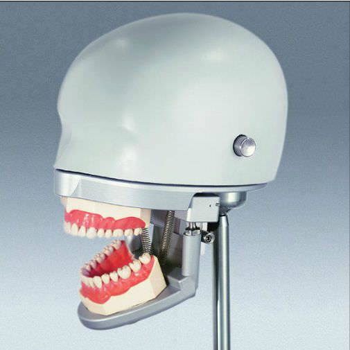 Dental care training manikin / head P-6/3 frasaco