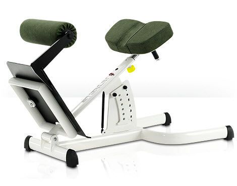 (weight training) / lumbar extension bench / rehabilitation / adjustable 00003235 gym80 International