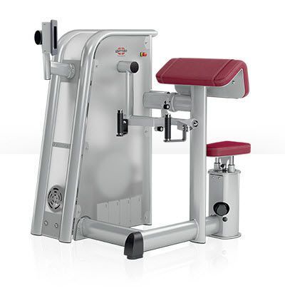 Weight training station (weight training) / arm curl / traditional 00003610 gym80 International