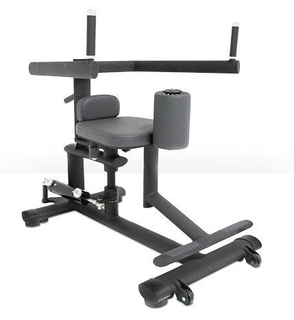 Weight training station (weight training) / rotary torso / traditional 00003059 gym80 International