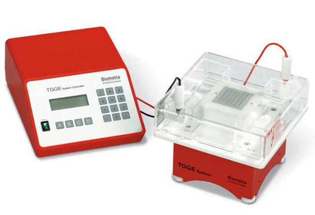 Temperature gradient gel electrophoresis system TGGE, TGGE Maxi Analytik Jena