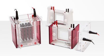 Vertical electrophoresis chamber Eco-Mini Analytik Jena