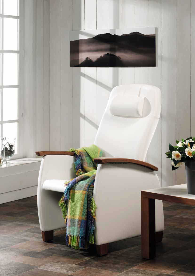 Medical sleeper chair Domus Easy Soft Haelvoet