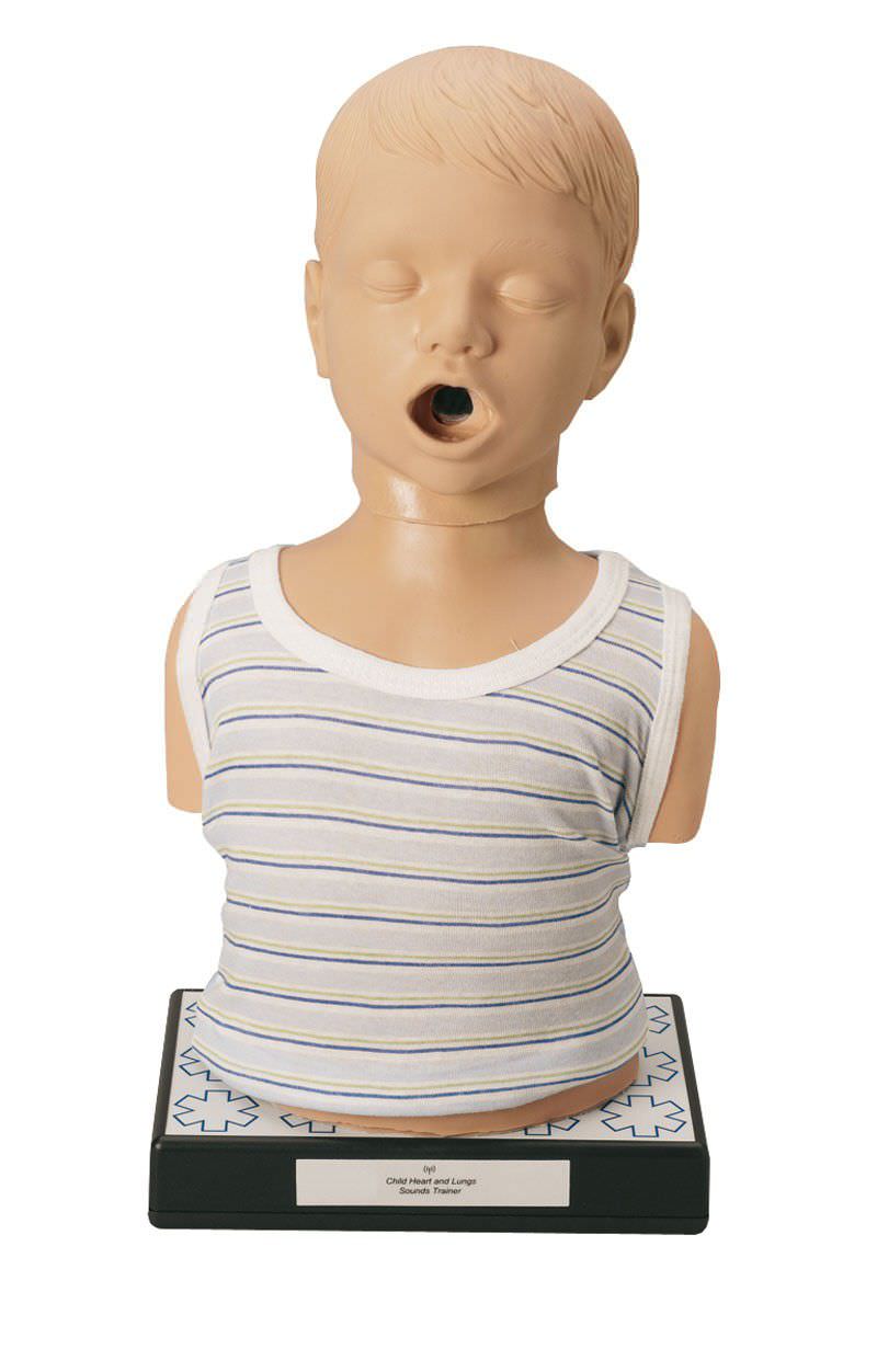 Auscultation patient simulator / pediatric / torso / with sound generator R11000 Erler-Zimmer Anatomiemodelle