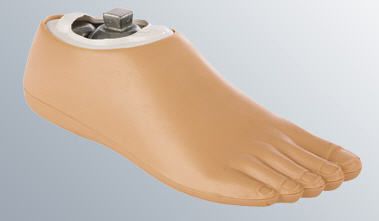 Foot prosthesis (lower extremity) / silicone / single-axis / class 1 medi