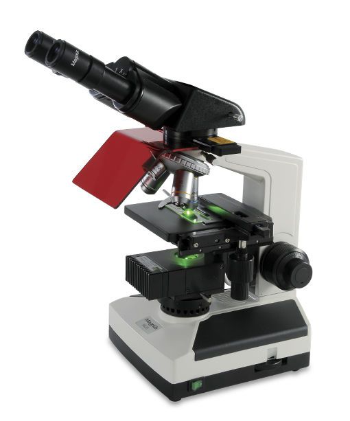 Laboratory microscope / fluorescence / trinocular / LED Magnus Analytics