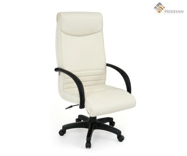 Office chair / on casters PS-OFC12 PROJESAN