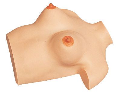 Breast massage simulator M114-1 Sakamoto Model Corporation