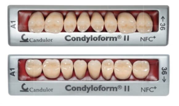 Nanocomposite dental prosthesis CONDYLOFORM® II NFC Candulor
