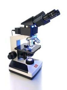 Laboratory microscope / fluorescence / binocular I-MLD Biosystems S.A.