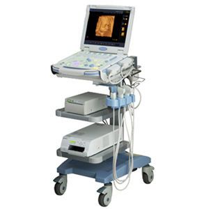 Protable, ultrasound system on trolley / for multipurpose ultrasound imaging UF-760AG Fukuda Denshi