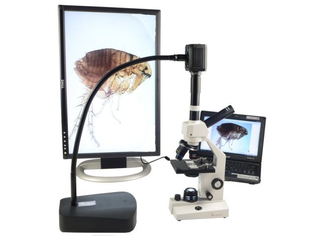 Digital camera / for laboratory microscopes / CMOS 3 Mpx | BMS EcoCam III Breukhoven