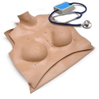 Auscultation patient simulator / adult / torso / with sound generator S220.10 Gaumard