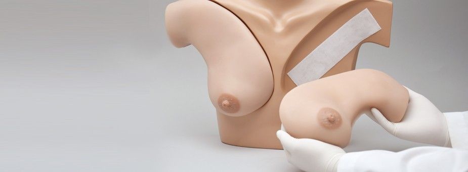 Breast massage anatomical model S230.42 Gaumard