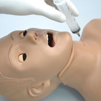 Airway management training simulator / torso / head S315.100 Gaumard