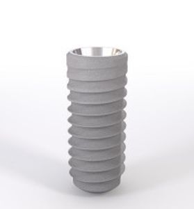 Cylindrical dental implant / titane-zirconium alloy Straumann® Bone Level Implant Institut Straumann AG