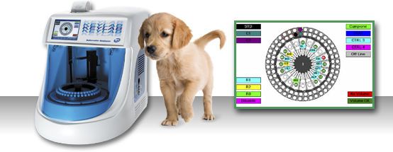 Automatic biochemistry analyzer / random access / veterinary 120 tests/h | Keylab Vet BPC BioSed